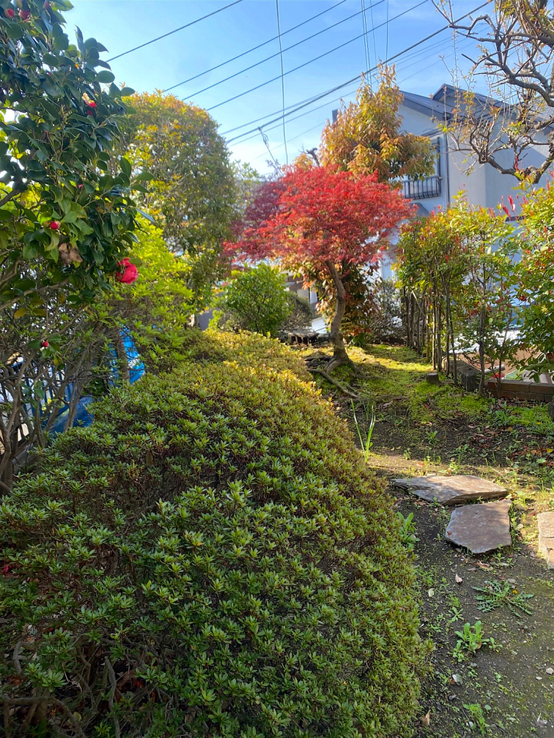 施工前2