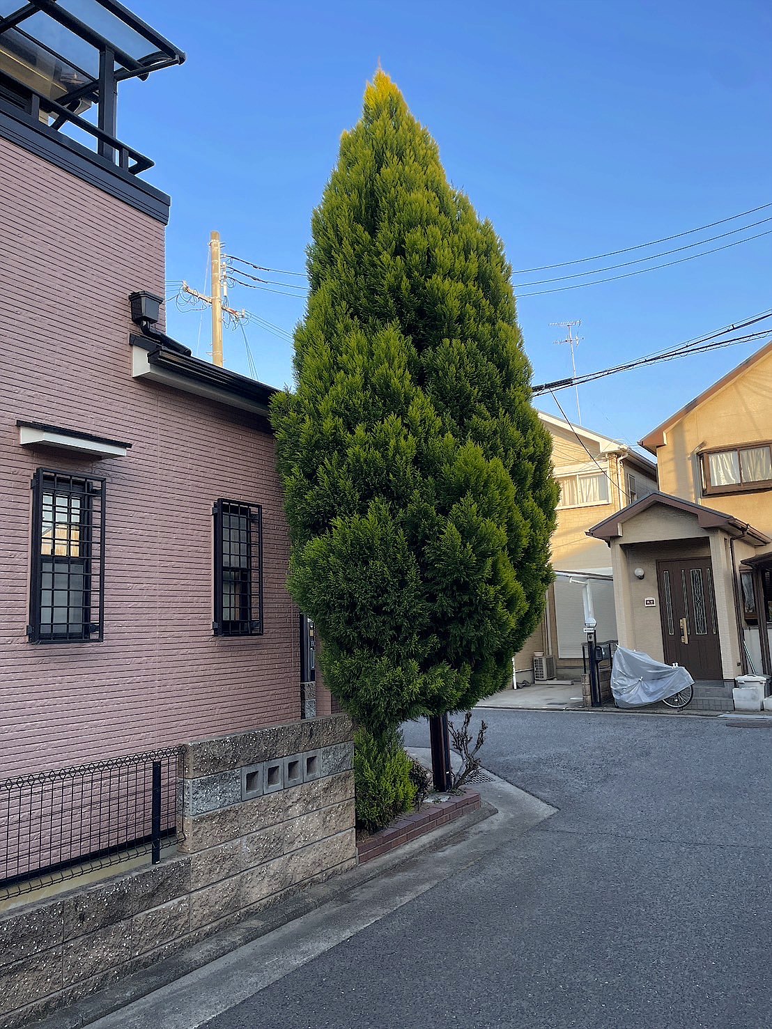 施工前