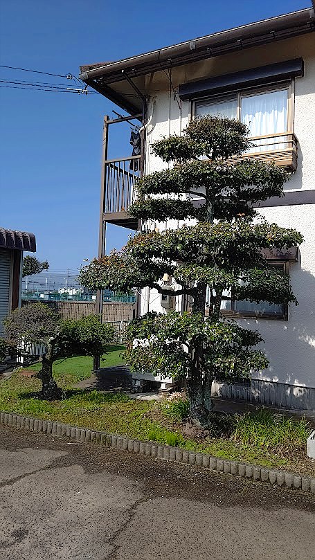施工前