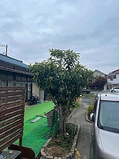 施工前2