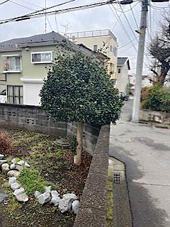 施工前