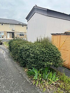 施工前2