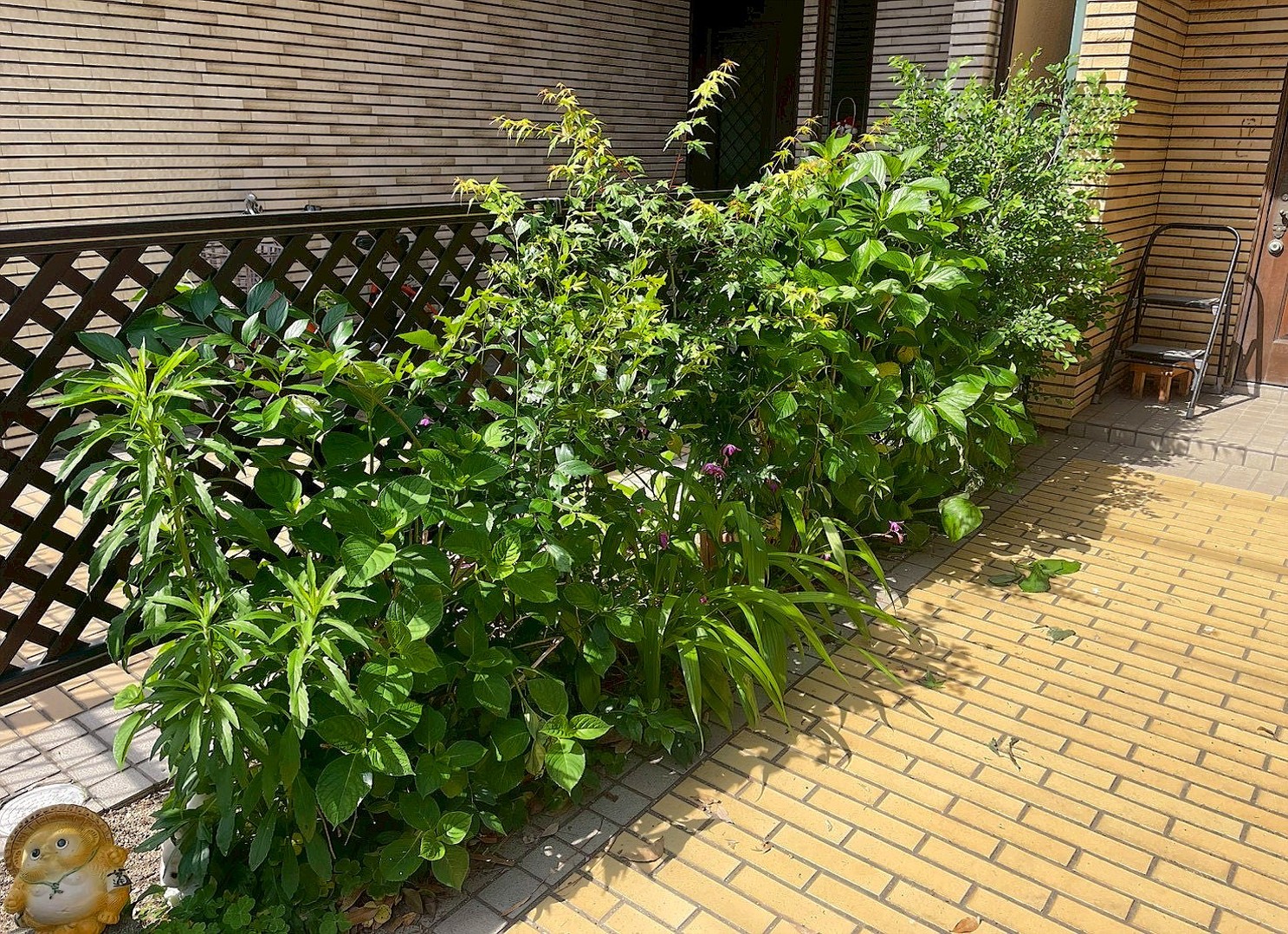 施工前
