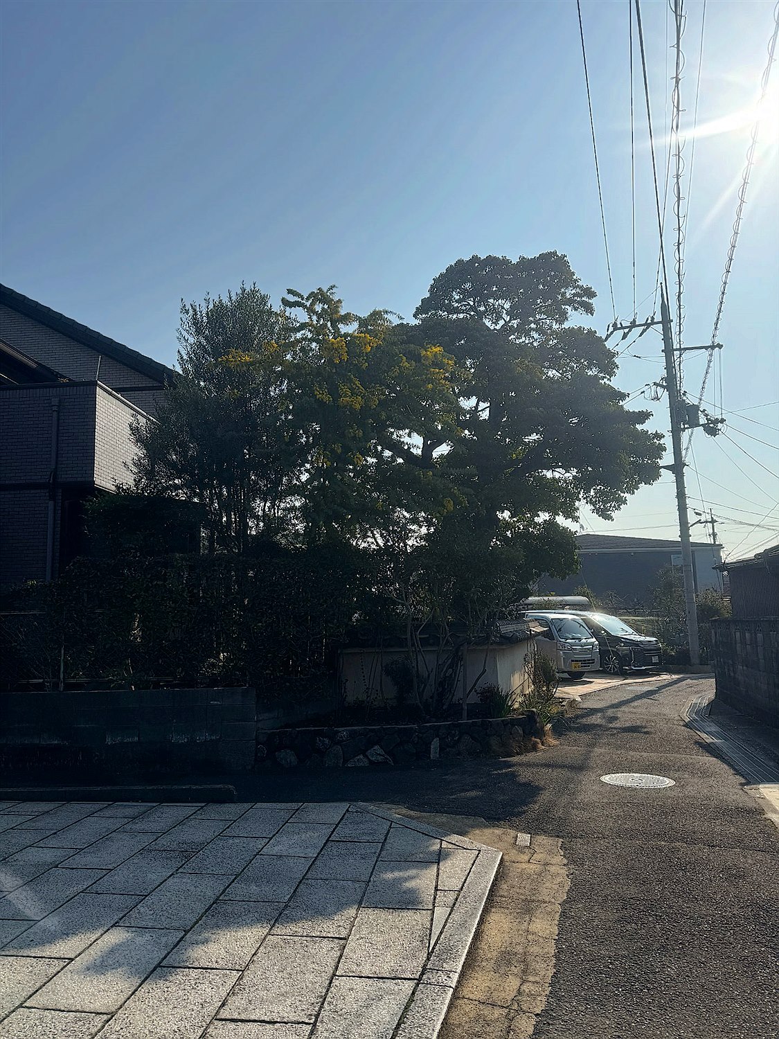 施工前2
