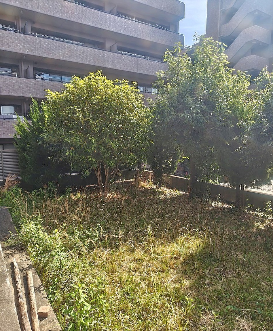 群馬県館林市／庭木剪定