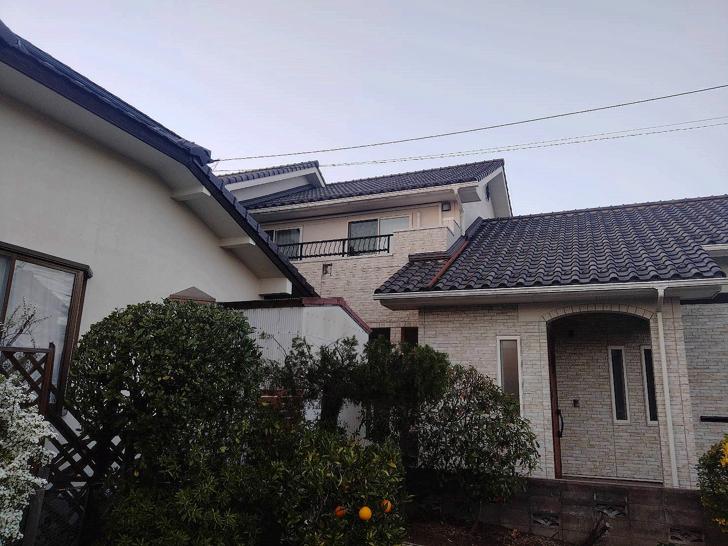 栃木県宇都宮市／庭木剪定