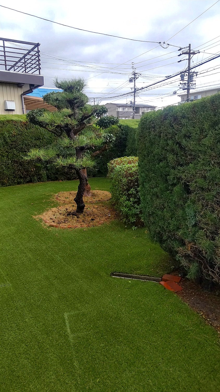 茨城県常総市／庭木剪定