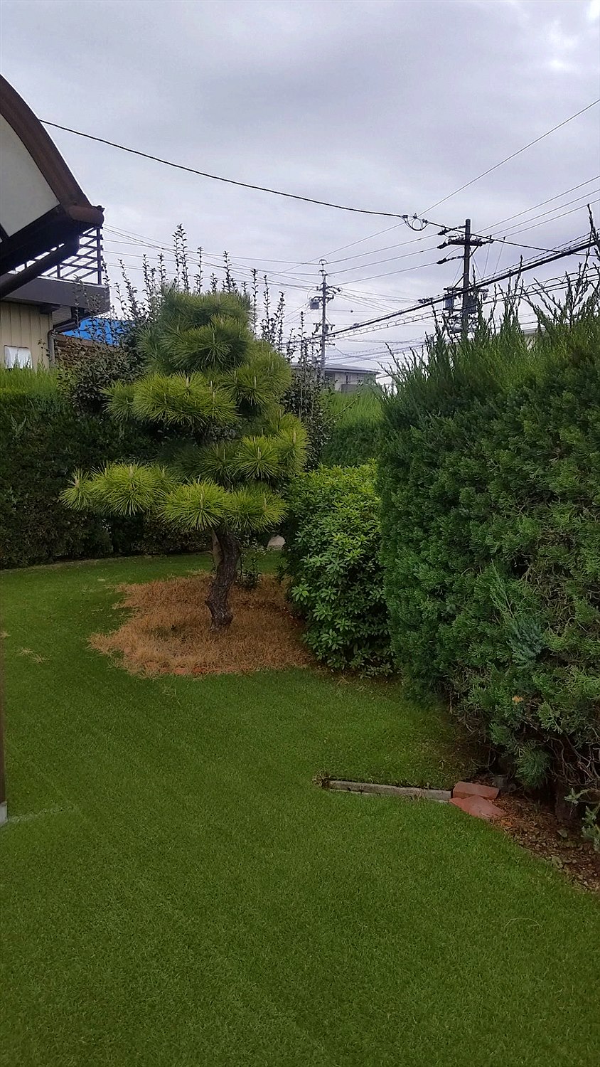 施工前