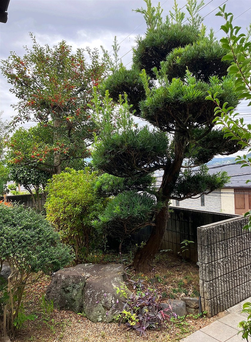 施工前