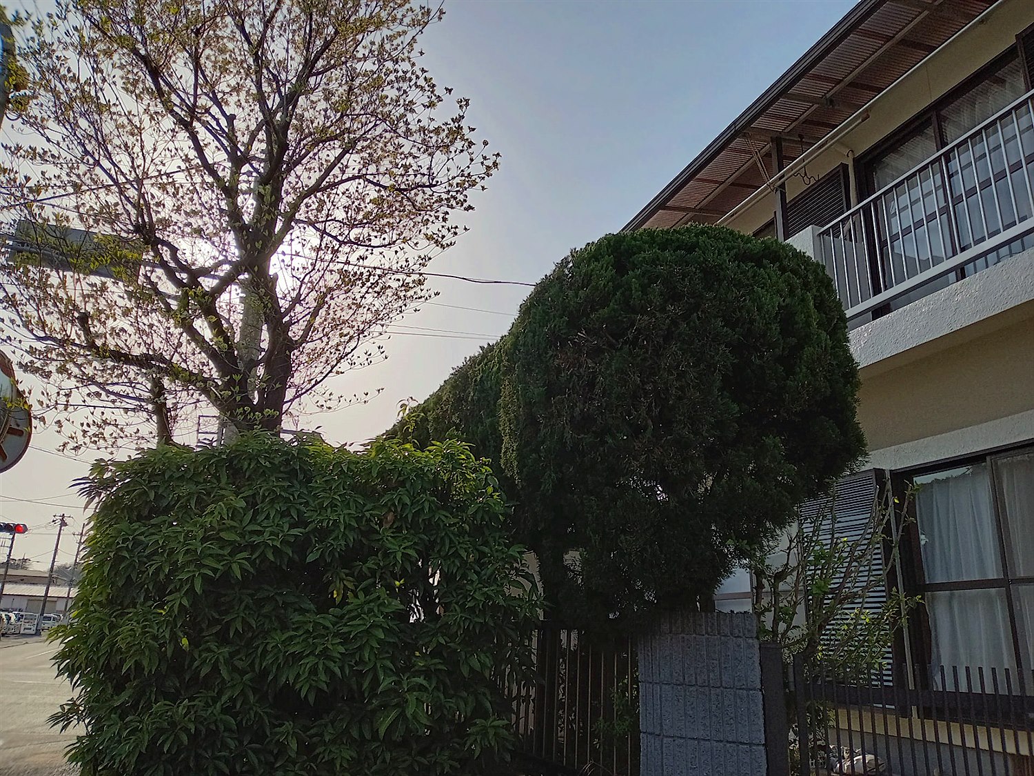 施工後2