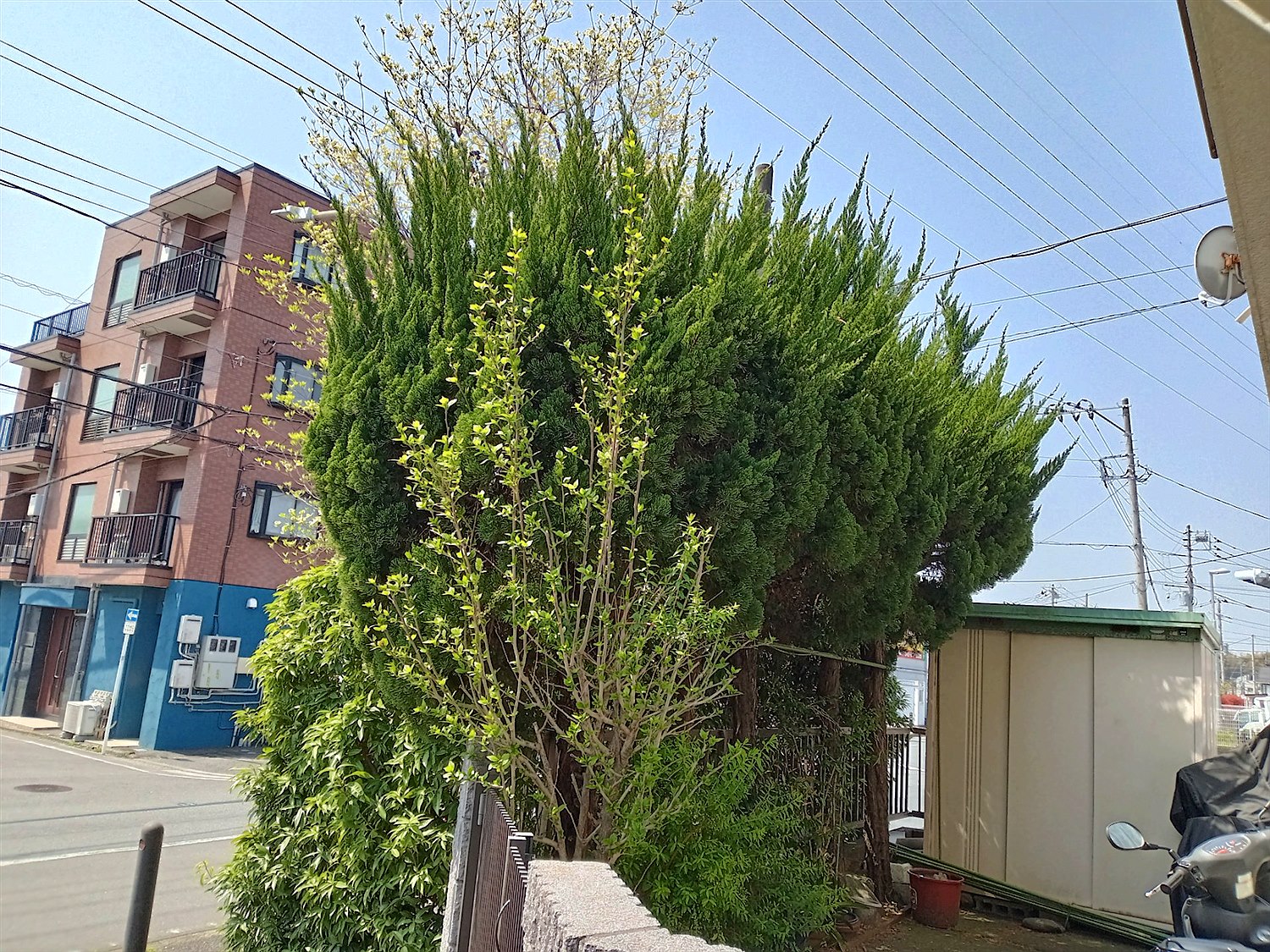 施工前