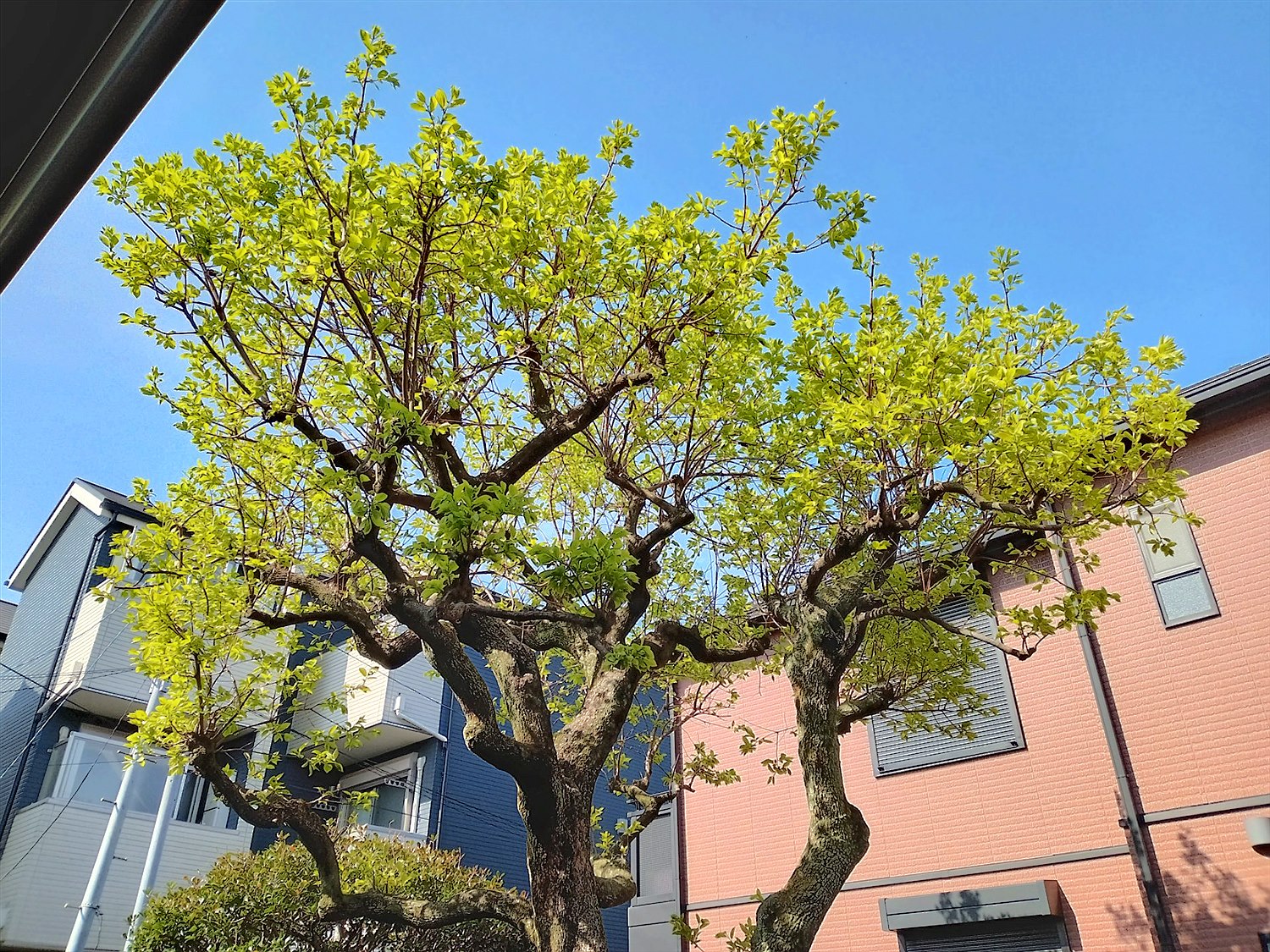 施工前