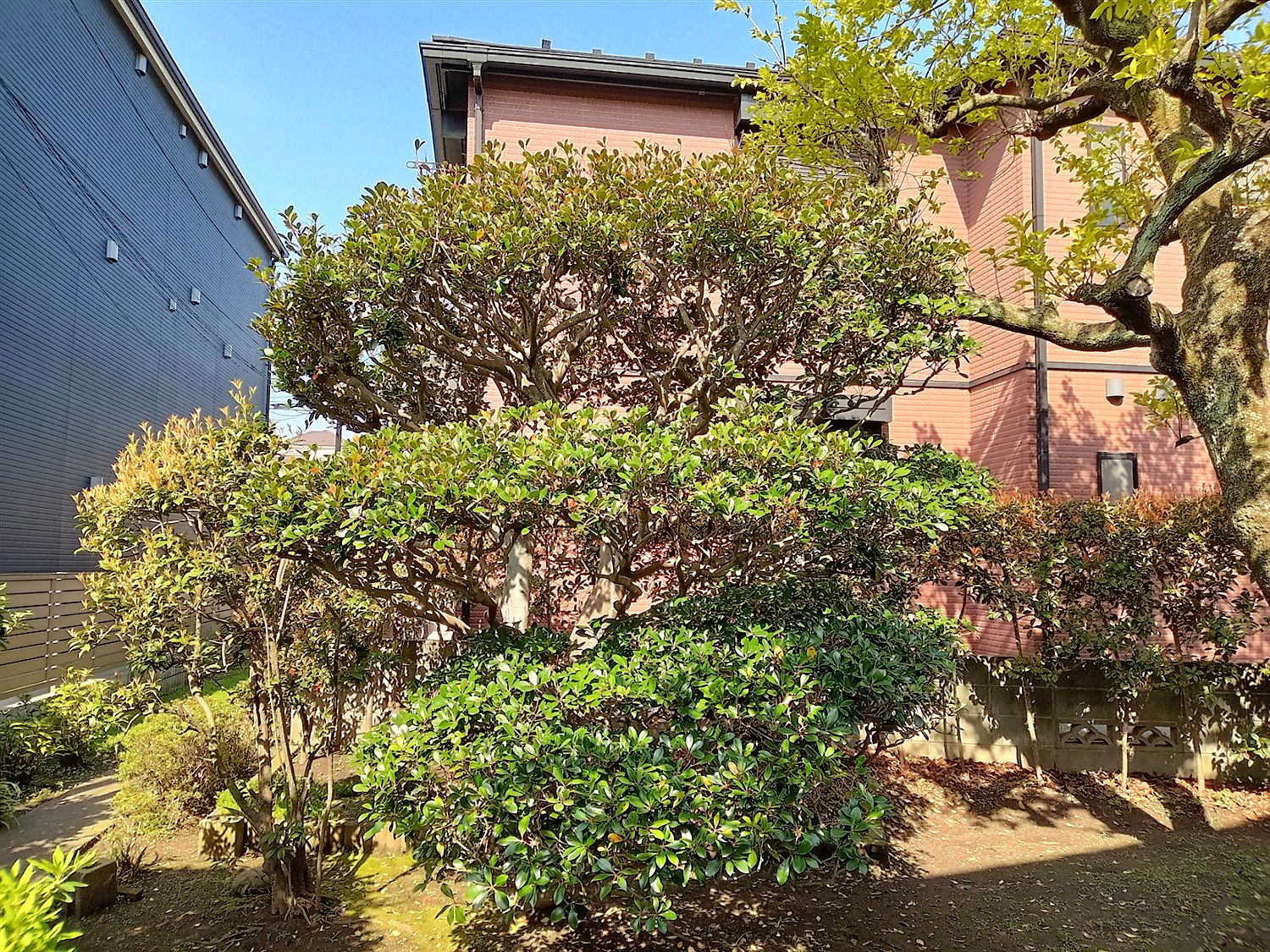 施工前2