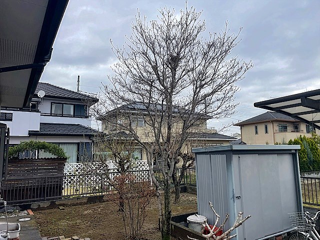 施工前