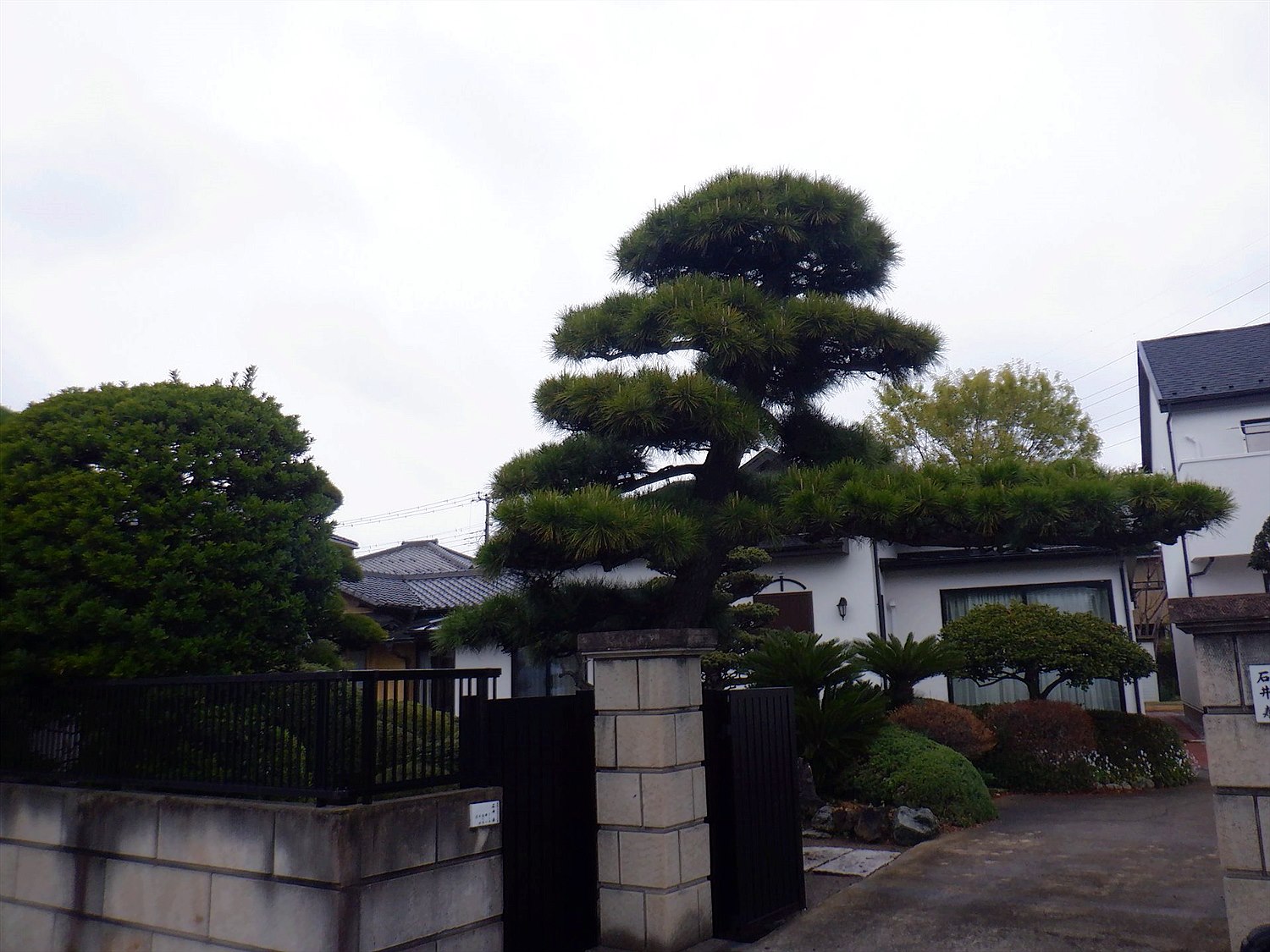 施工前