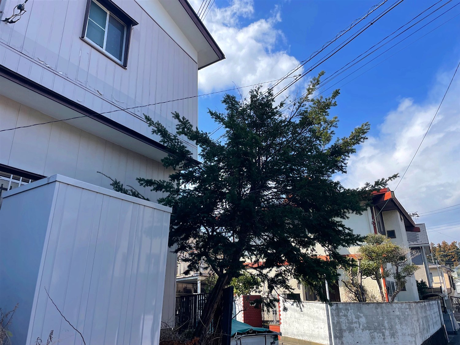 施工前