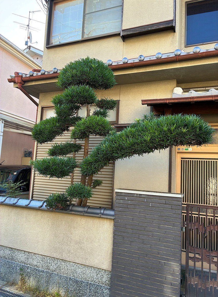 施工前