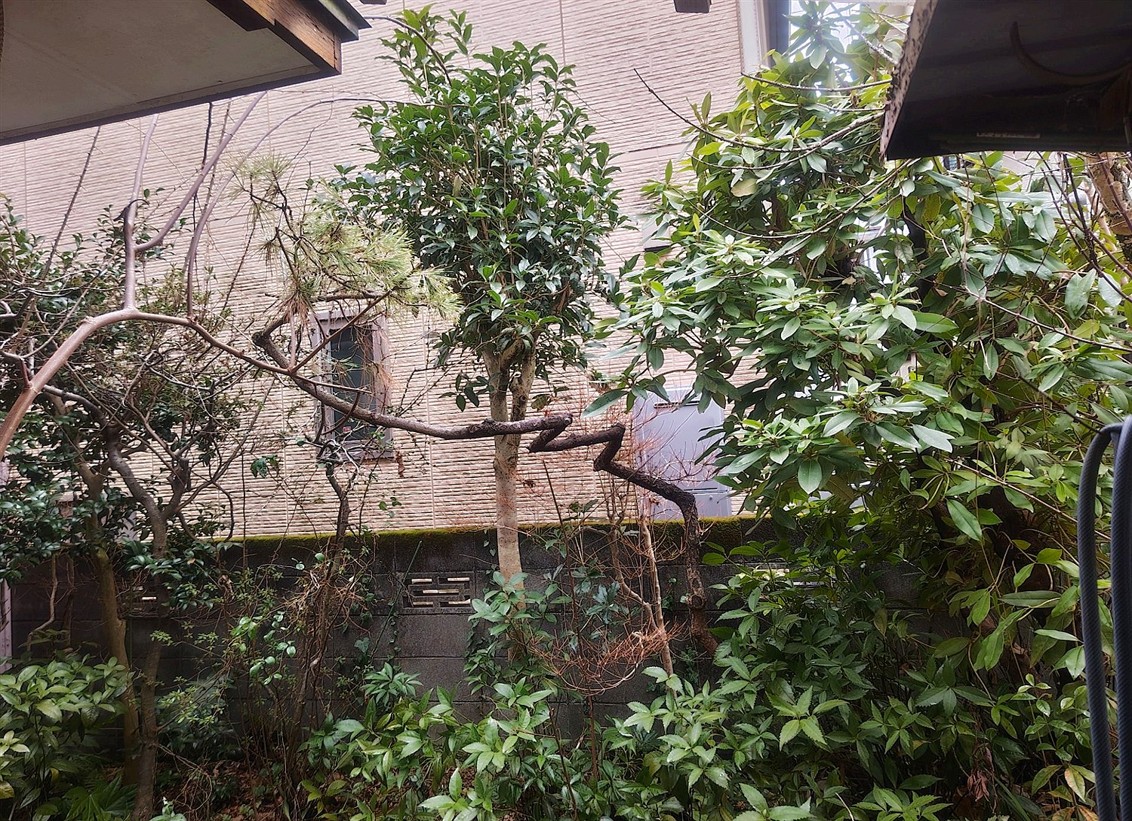 施工前2