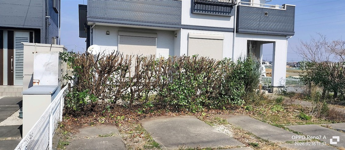 大阪府堺市南区／庭木剪定