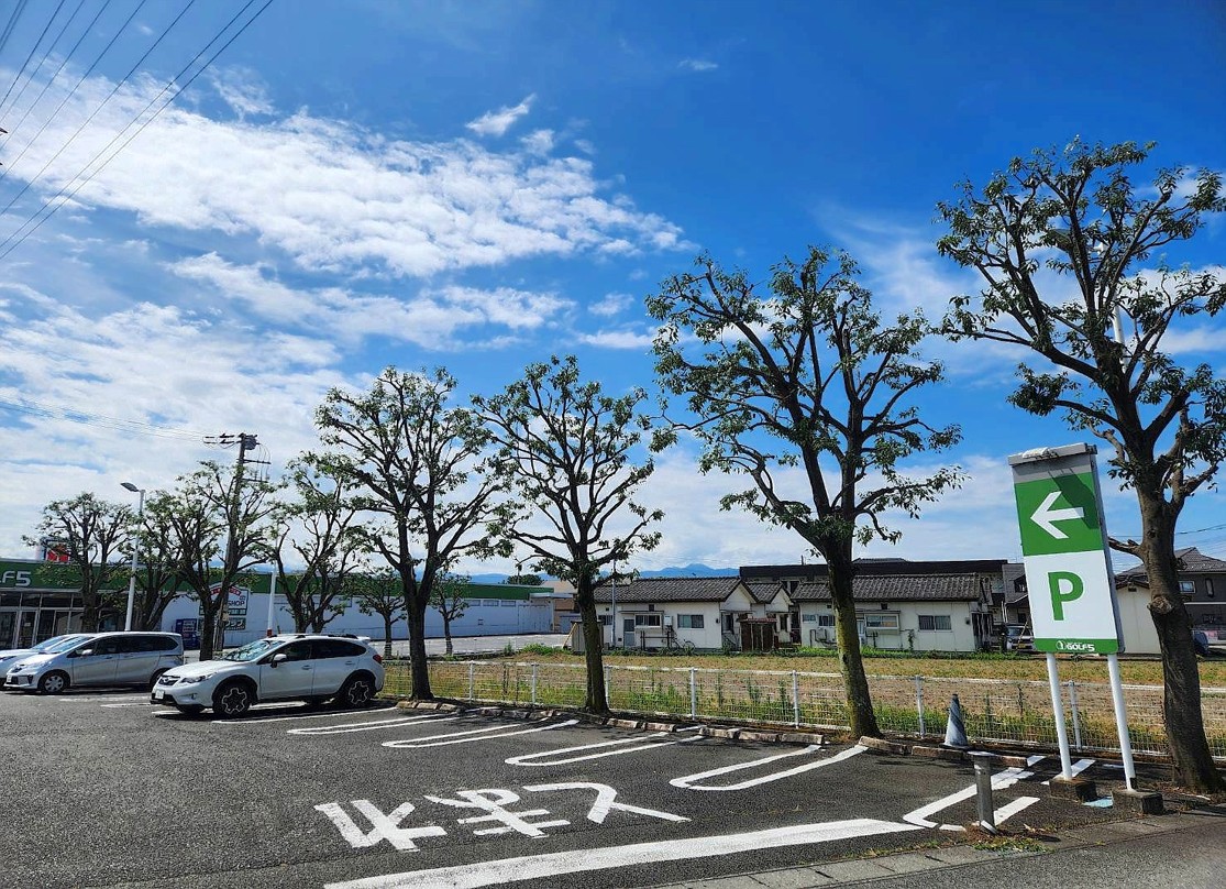 兵庫県神戸市東灘区／庭木剪定