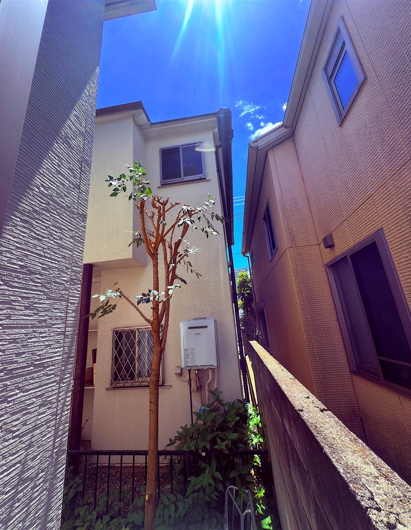 東京都西多摩郡瑞穂町／庭木剪定