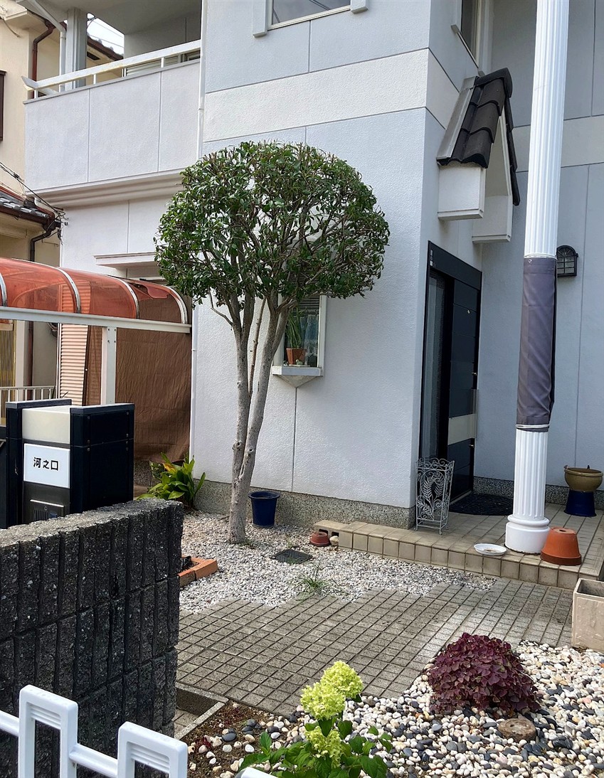 茨城県つくば市／庭木剪定