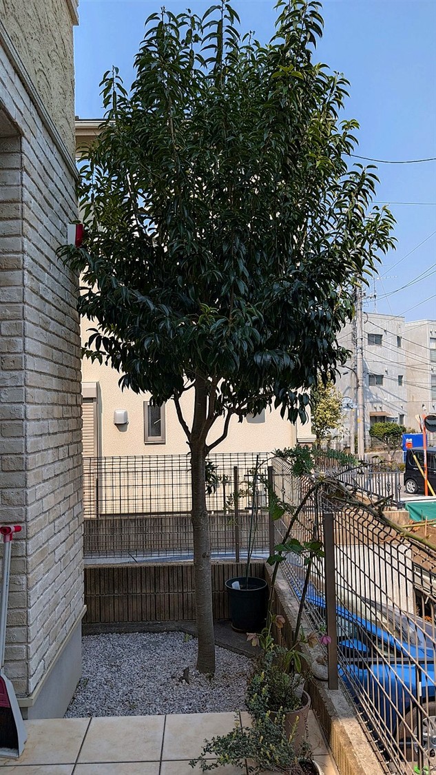 施工前2