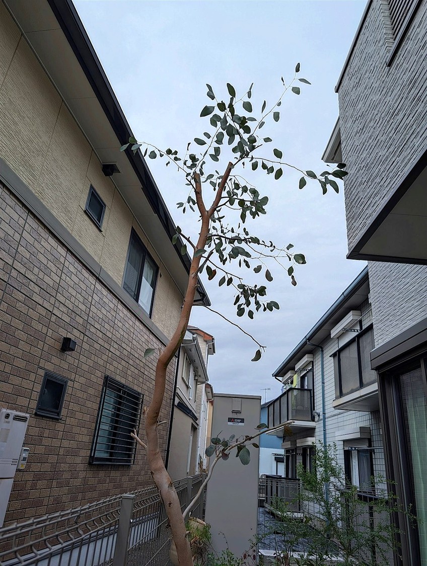 施工後2