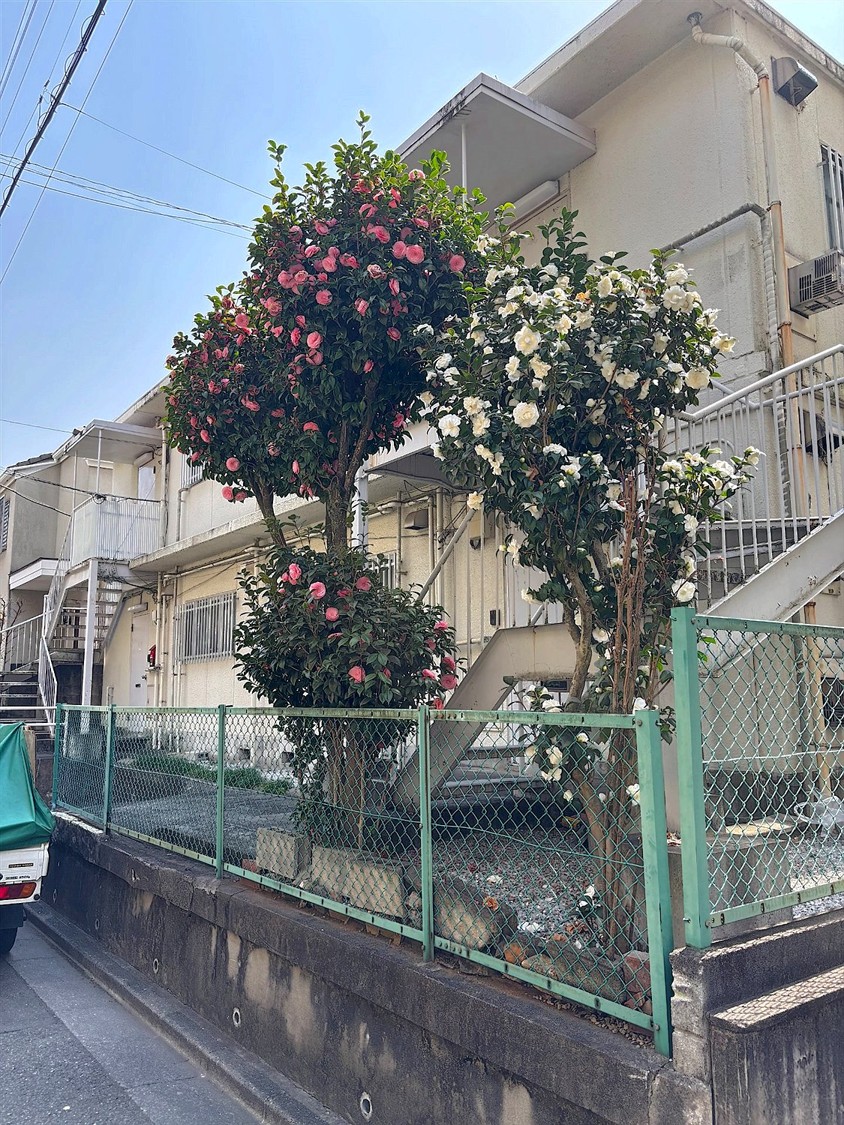 施工前