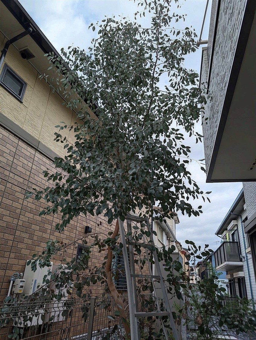 施工前2