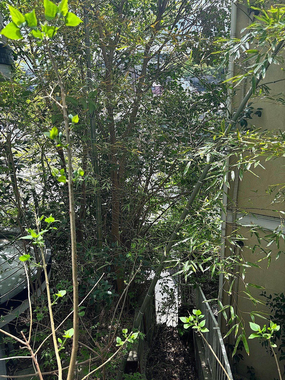 施工前2