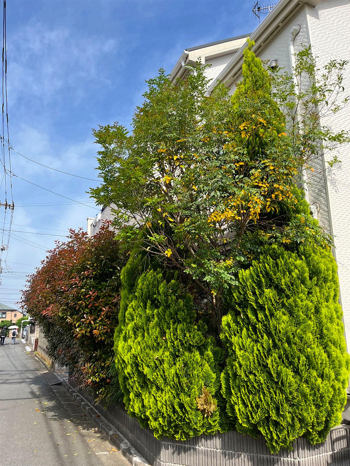 施工前