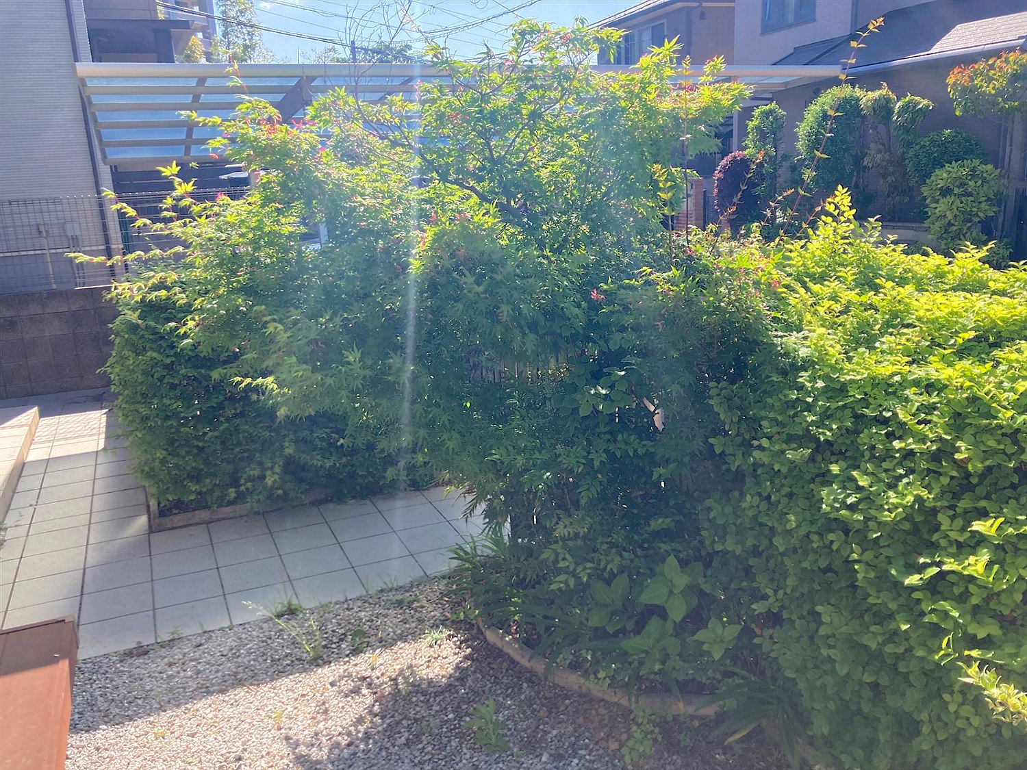 施工前