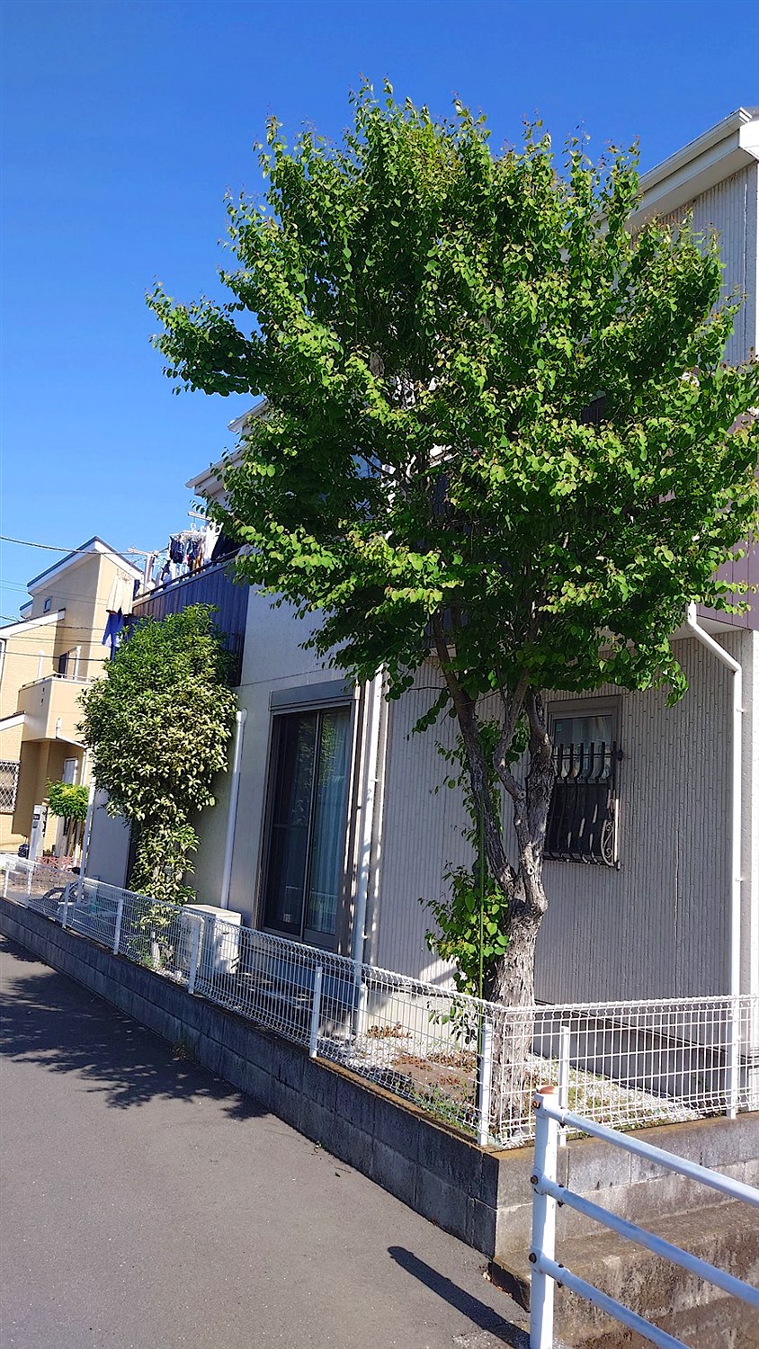 施工前2