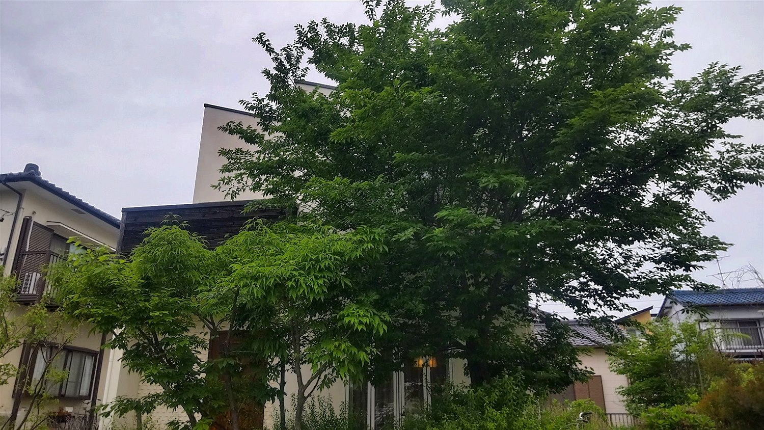 施工前2