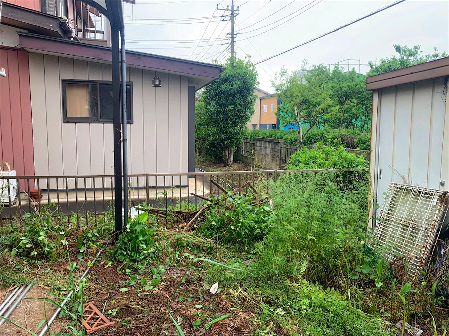 静岡県牧之原市／庭木伐採