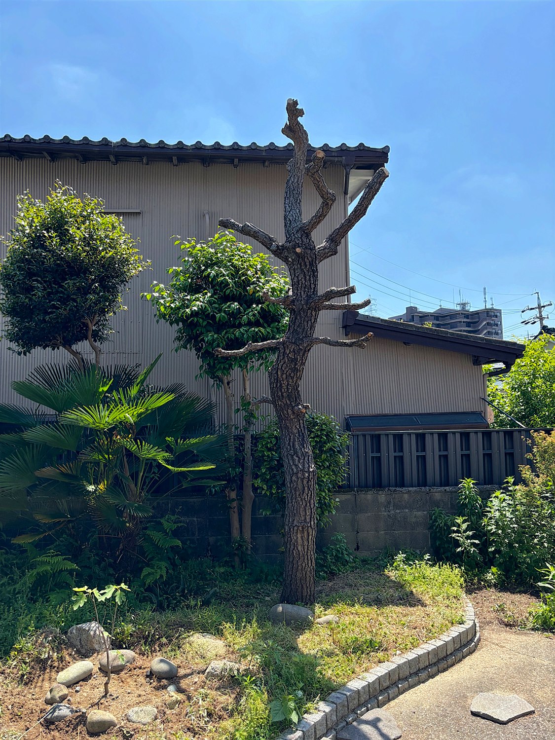 施工前