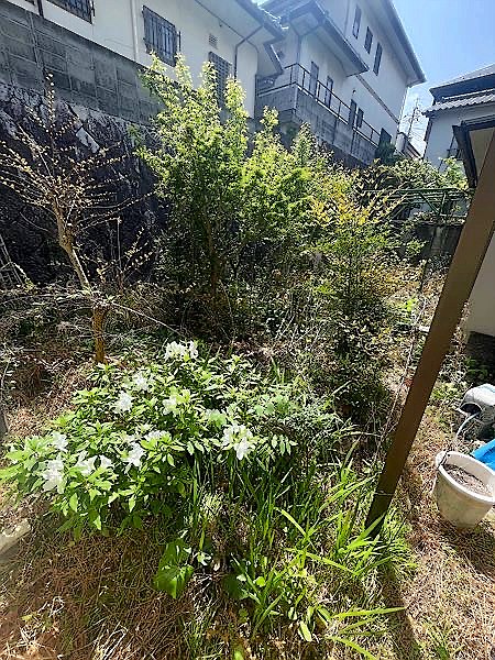 施工前
