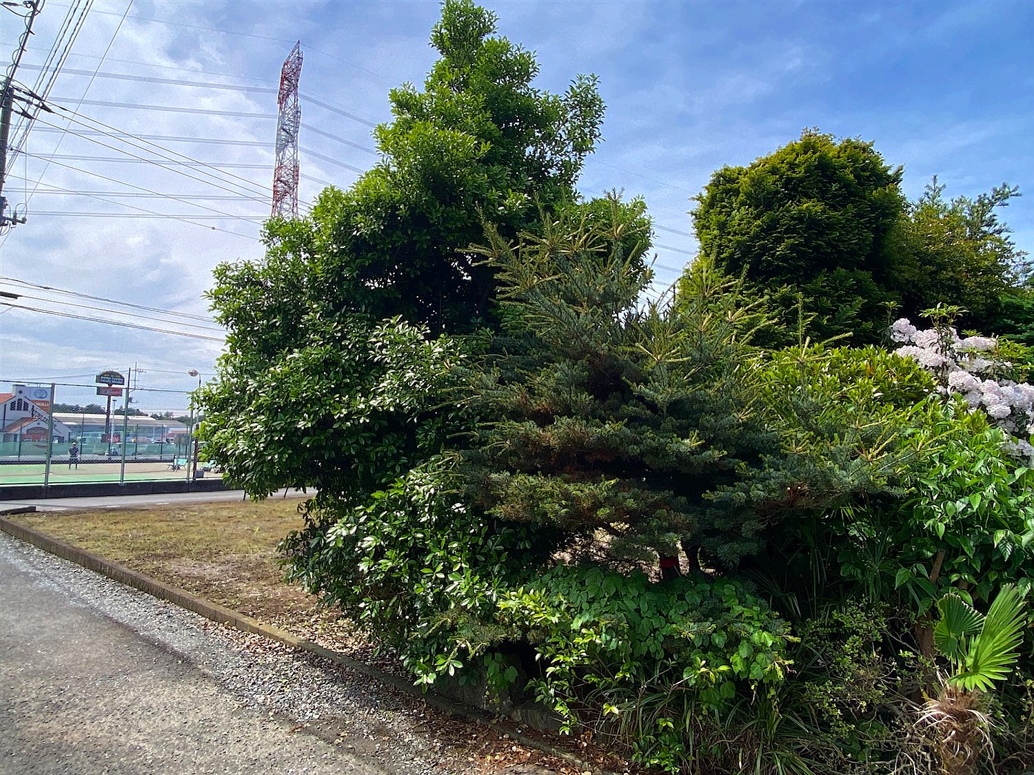 施工前