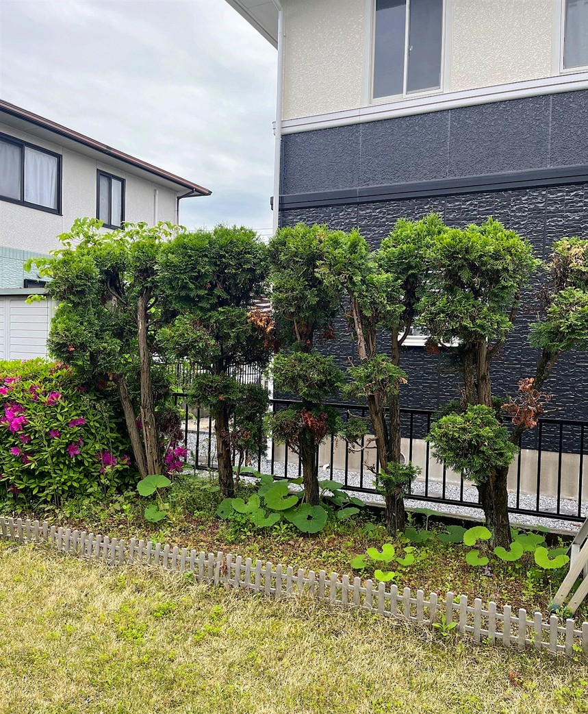 施工前2