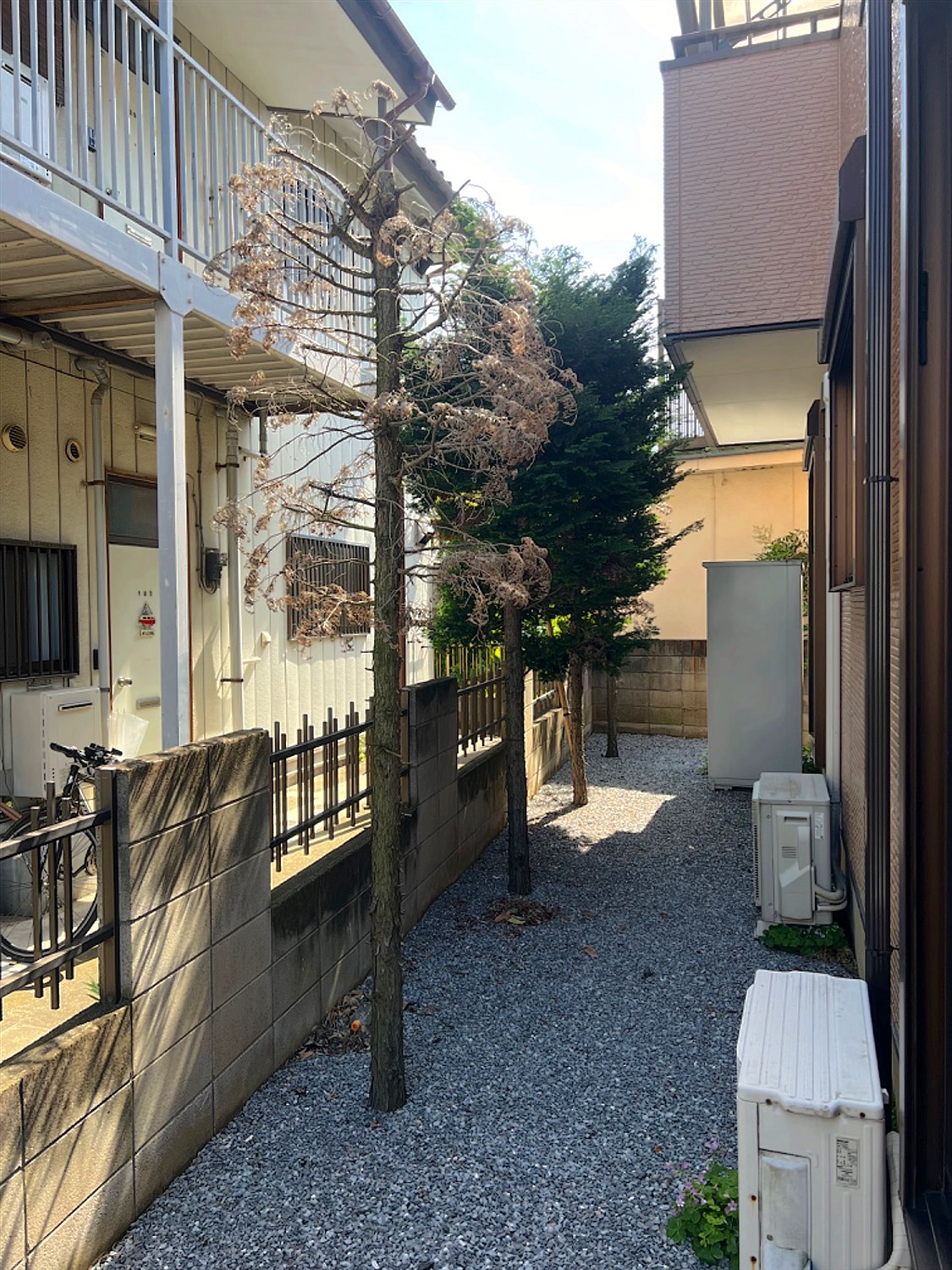 施工前2