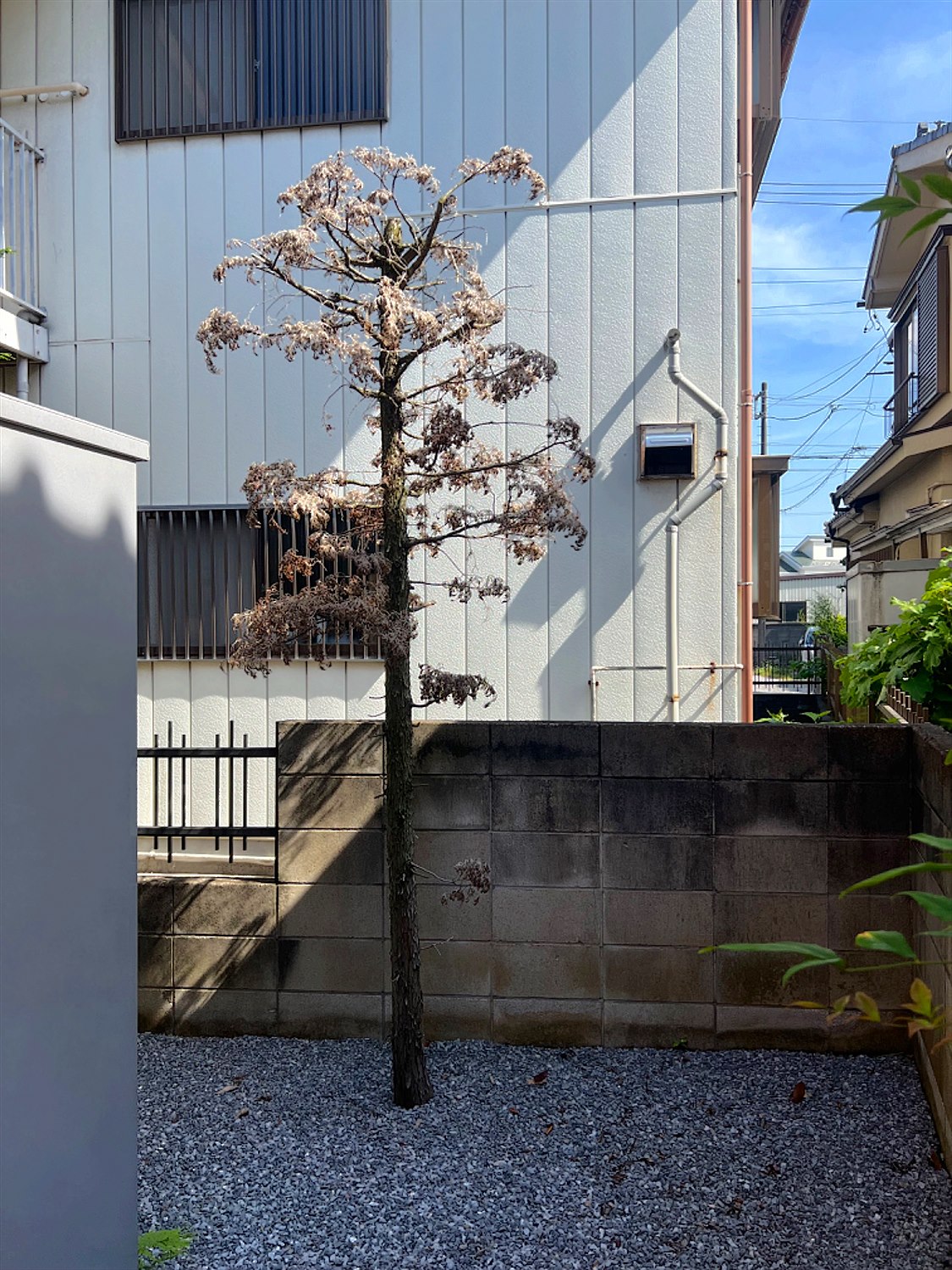 施工前