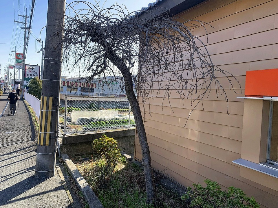 施工前