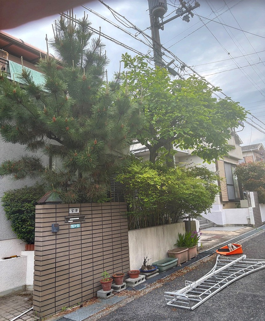 施工前