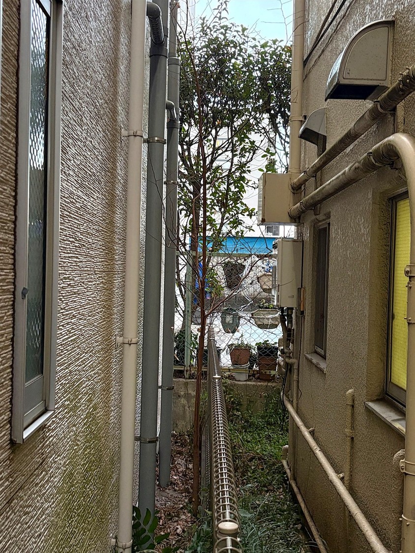 施工前2