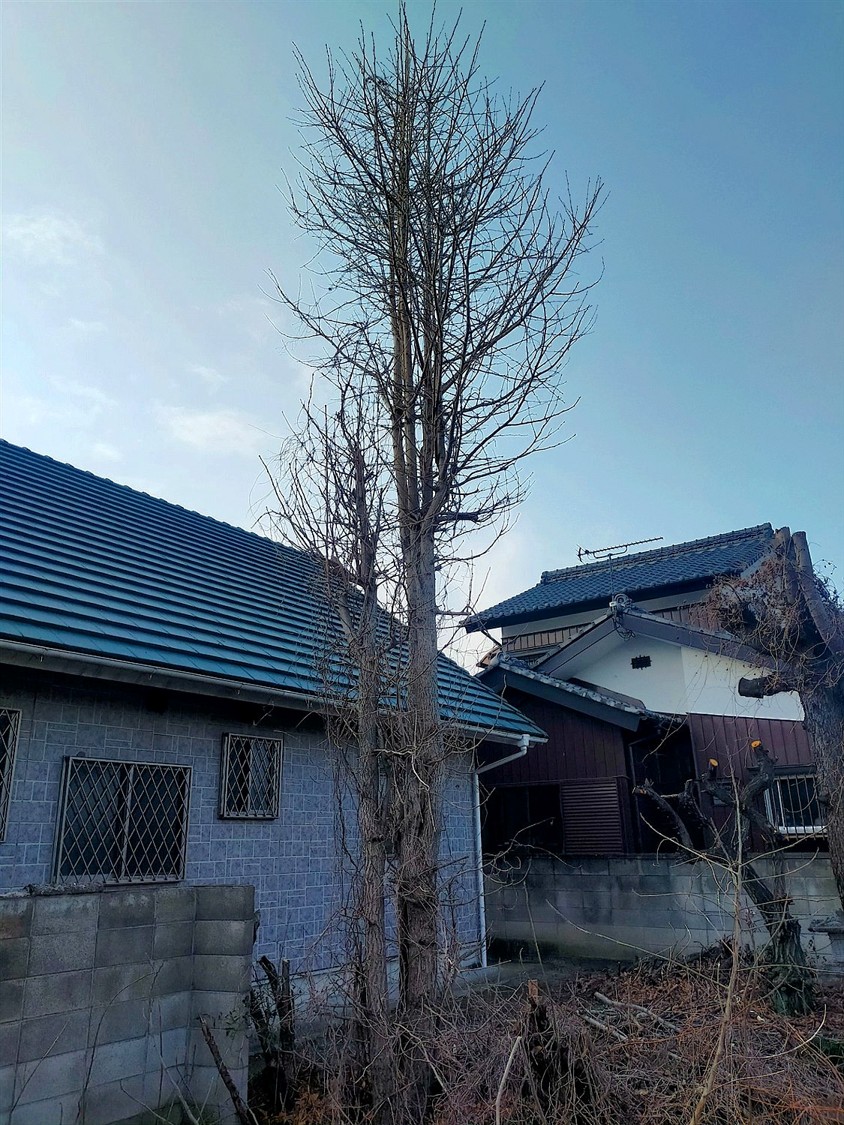 施工前