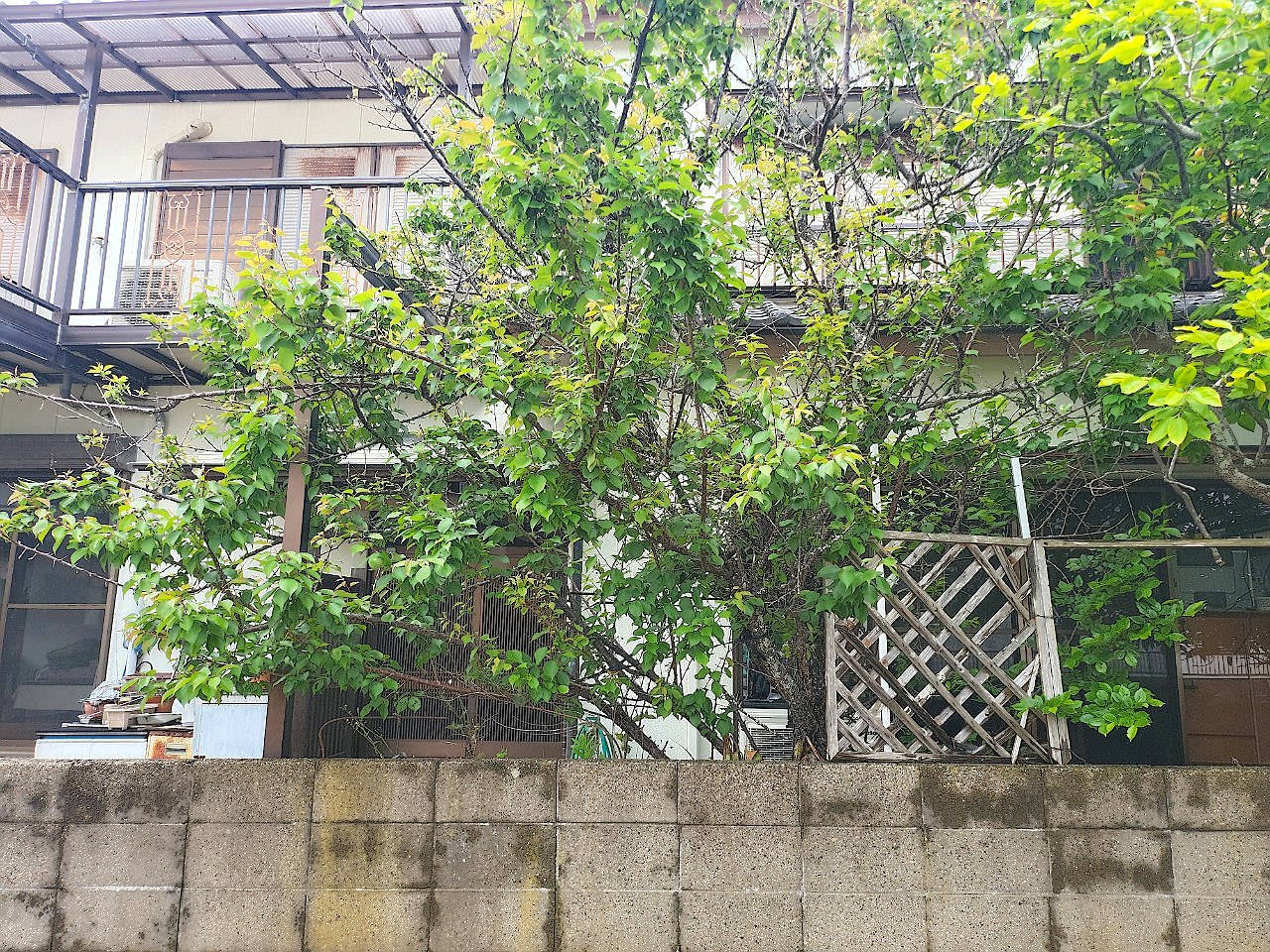 施工前2