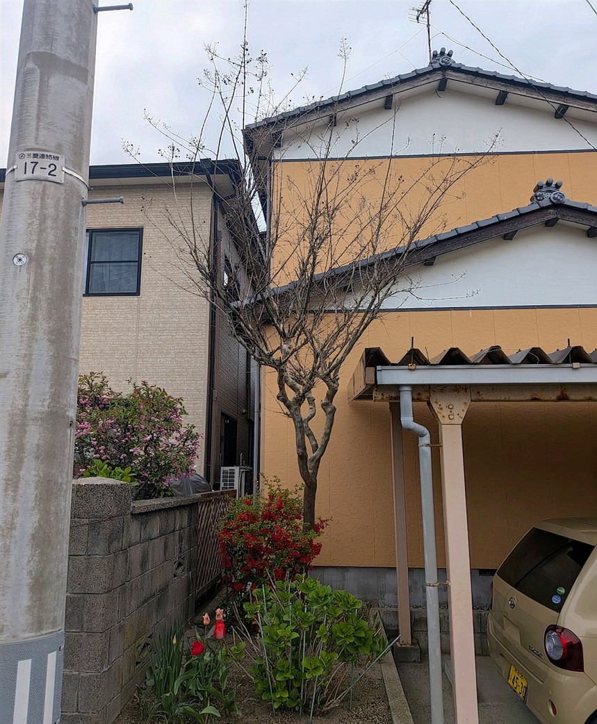 施工前