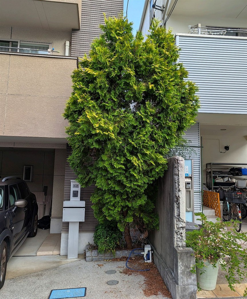 施工前