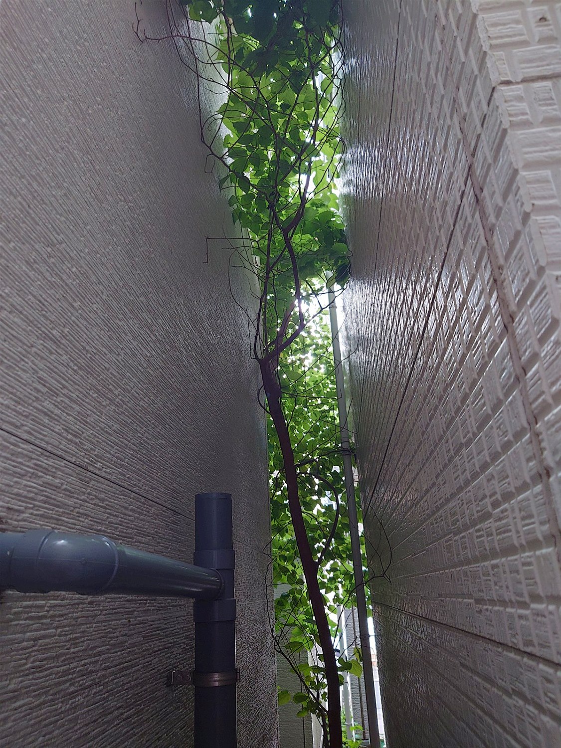 施工前